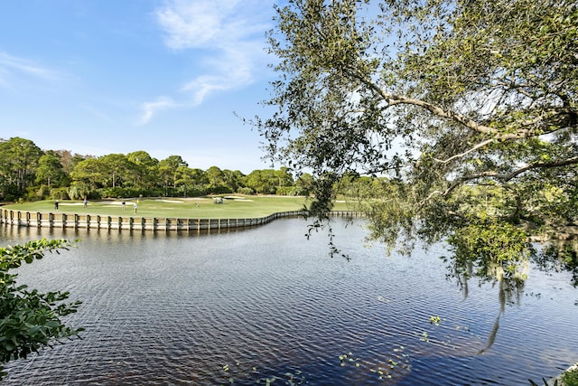 property view of water