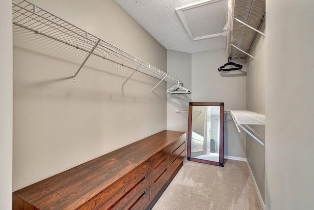 walk in closet with light colored carpet