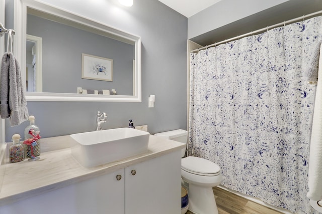 bathroom with vanity, wood-type flooring, and toilet