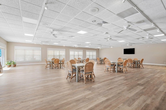 dining space featuring ceiling fan, a drop ceiling, and light hardwood / wood-style flooring