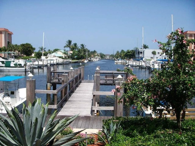 dock area with a water view