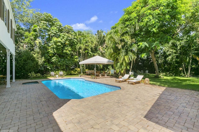 view of swimming pool featuring a lawn and a patio