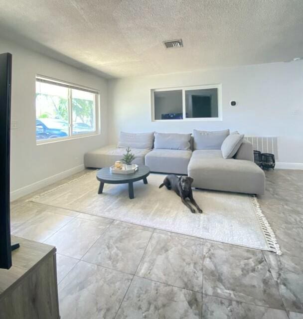 living room with a textured ceiling