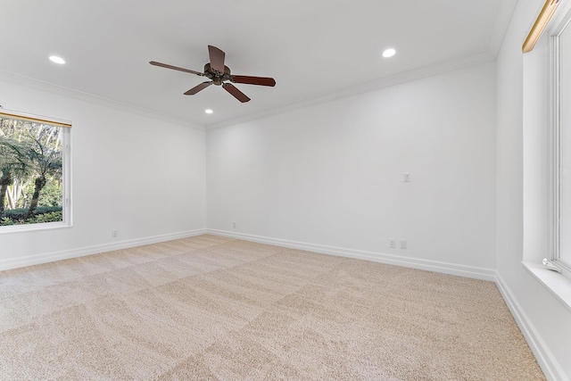 carpeted spare room with ceiling fan and crown molding