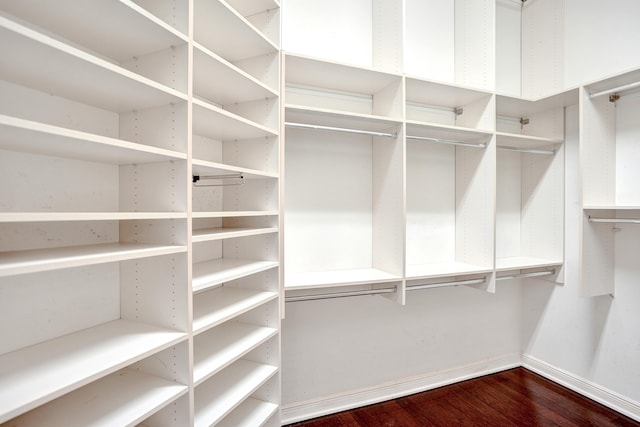 spacious closet with dark hardwood / wood-style flooring