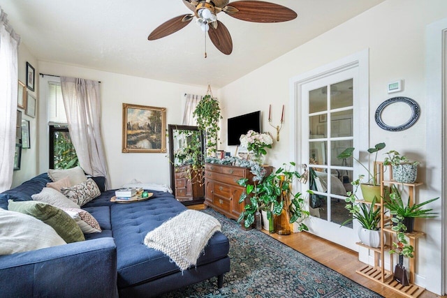 living room featuring ceiling fan and wood-type flooring