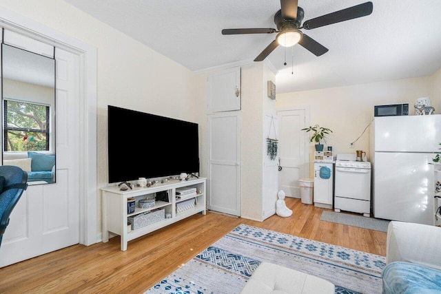 living room with ceiling fan and light wood-type flooring