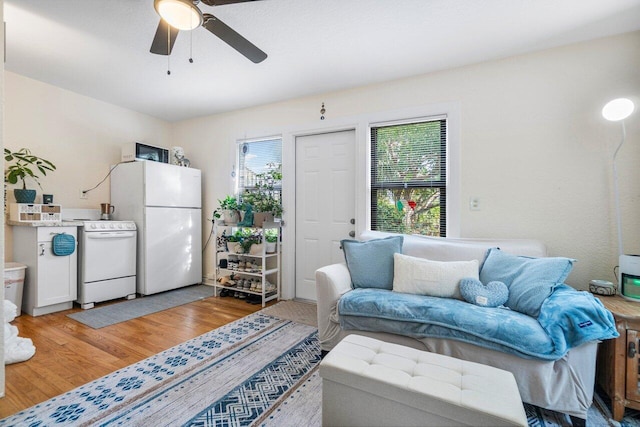 living room with light wood-type flooring, a wealth of natural light, and ceiling fan