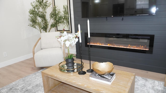 details featuring a glass covered fireplace, wood finished floors, and baseboards