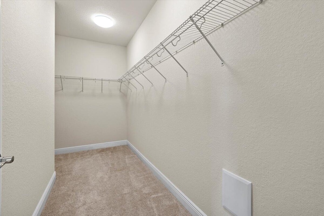 spacious closet featuring carpet flooring