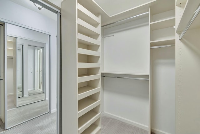 spacious closet with carpet floors