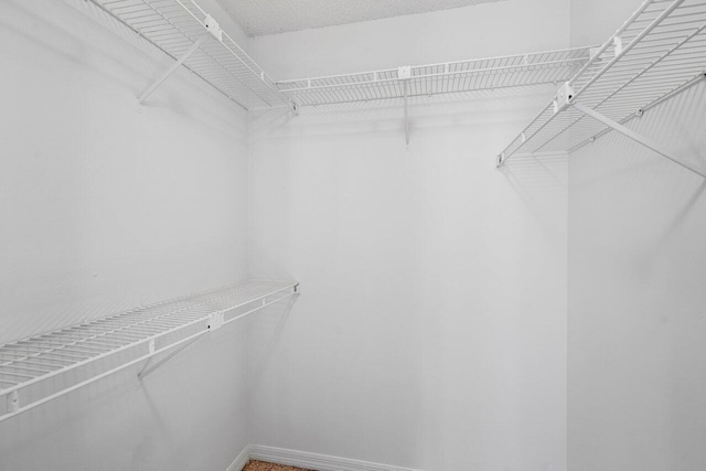 view of walk in closet