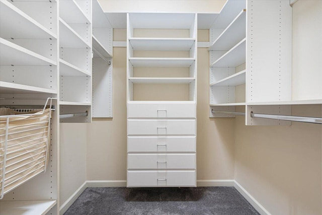 walk in closet with carpet flooring