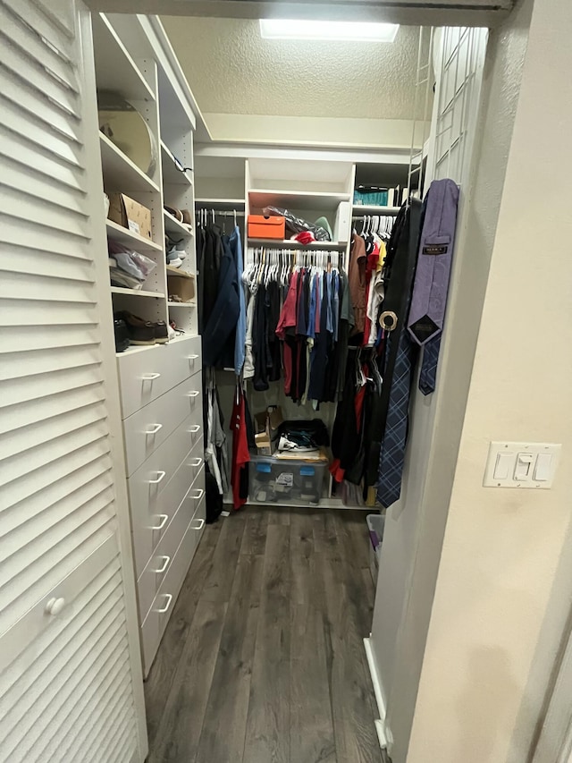 spacious closet featuring dark wood-type flooring