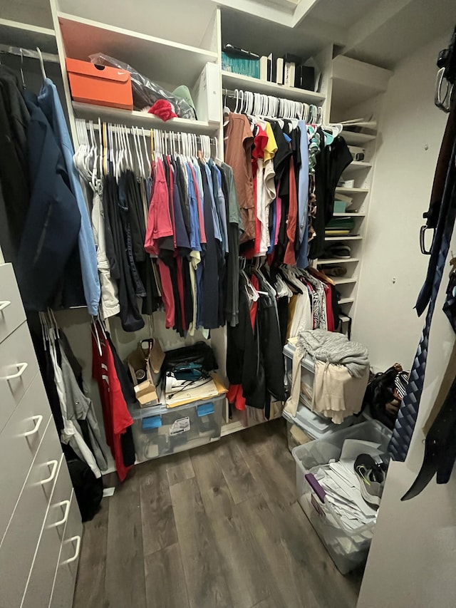 spacious closet featuring hardwood / wood-style floors