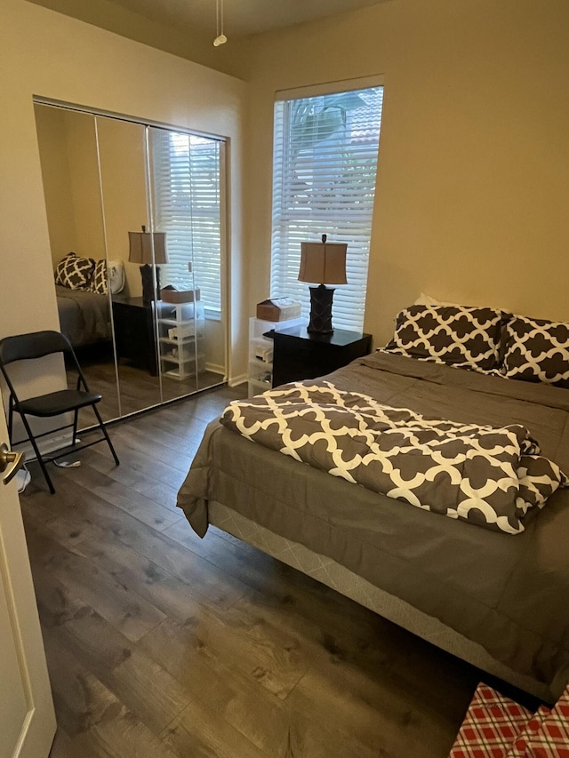 bedroom featuring dark hardwood / wood-style floors and a closet