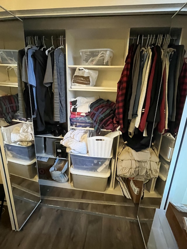 view of closet