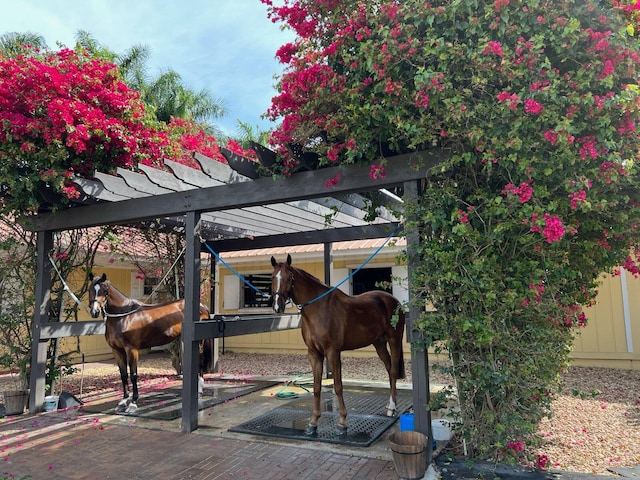 view of stable