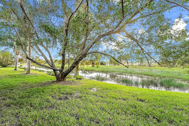 view of yard featuring a water view