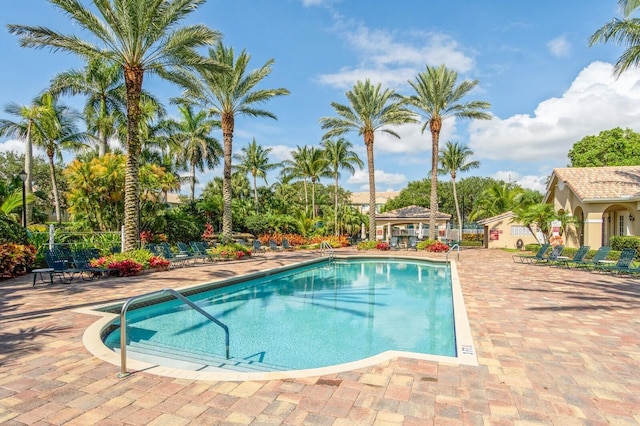 view of pool with a patio