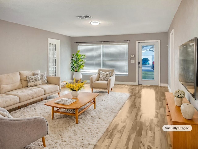 living room with light hardwood / wood-style floors and a wealth of natural light