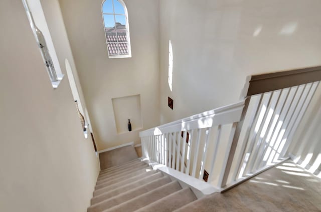 stairs with carpet floors