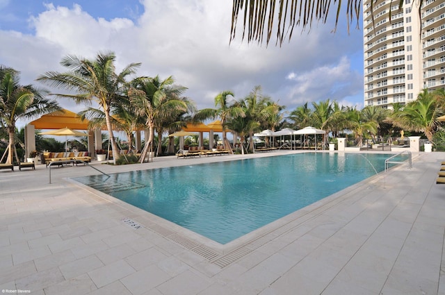 view of pool featuring a patio