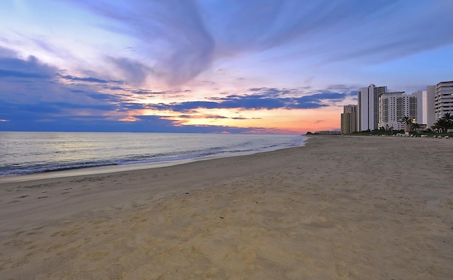 water view featuring a beach view