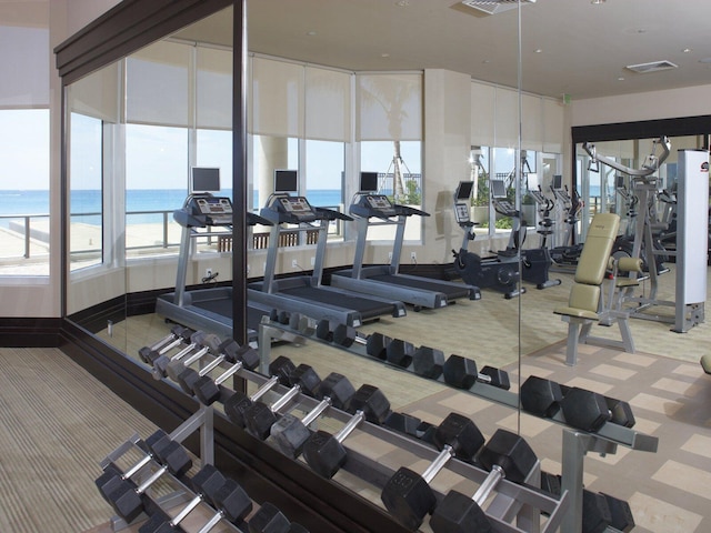 workout area with carpet floors