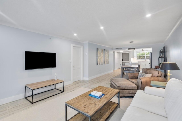 living room with crown molding and light hardwood / wood-style flooring