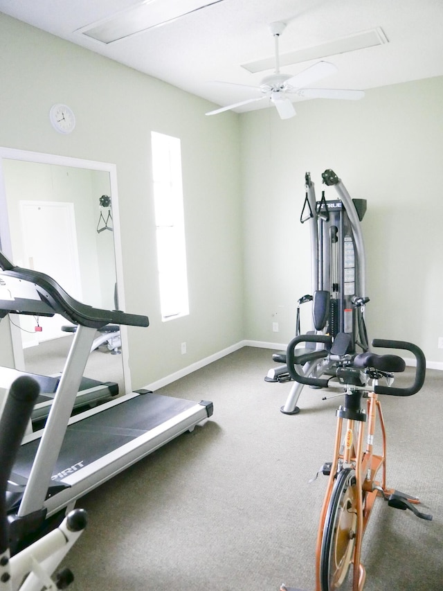 exercise room featuring carpet flooring and ceiling fan