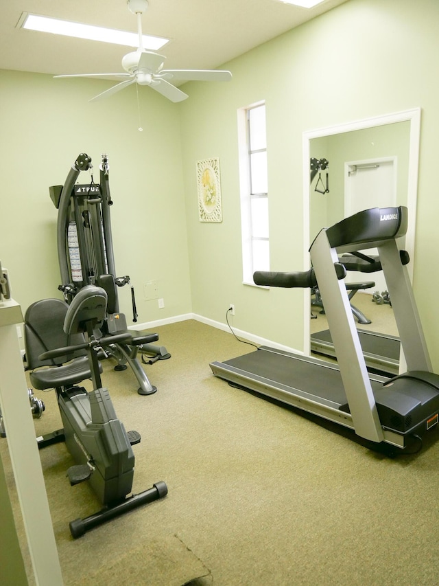 exercise area featuring ceiling fan