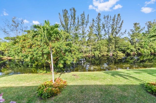 view of yard with a water view