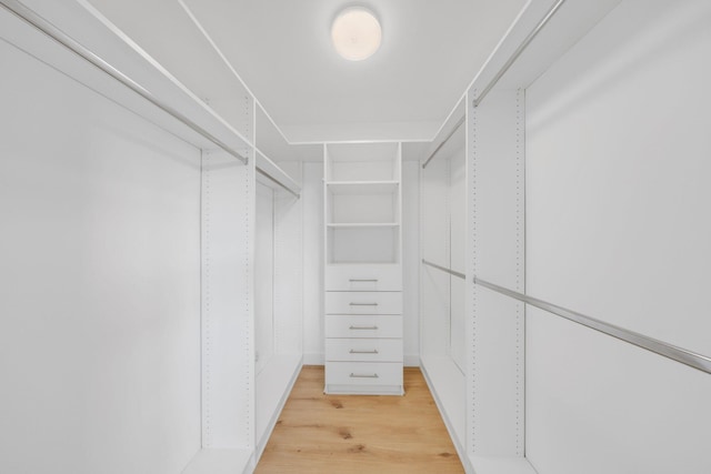 walk in closet featuring light hardwood / wood-style floors