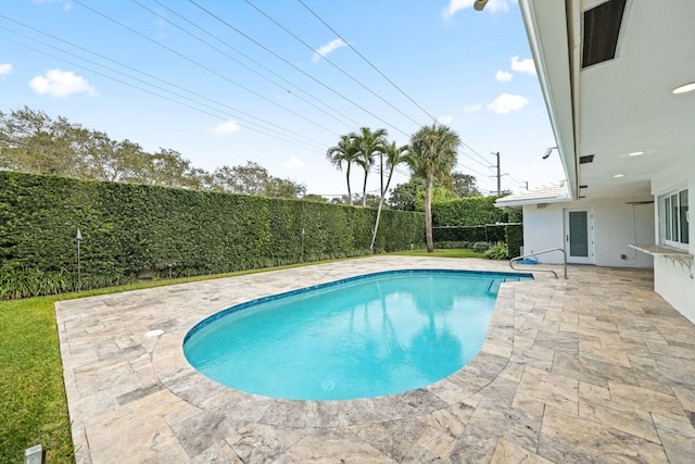 view of pool with a patio area