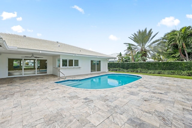 view of pool featuring ceiling fan and a patio