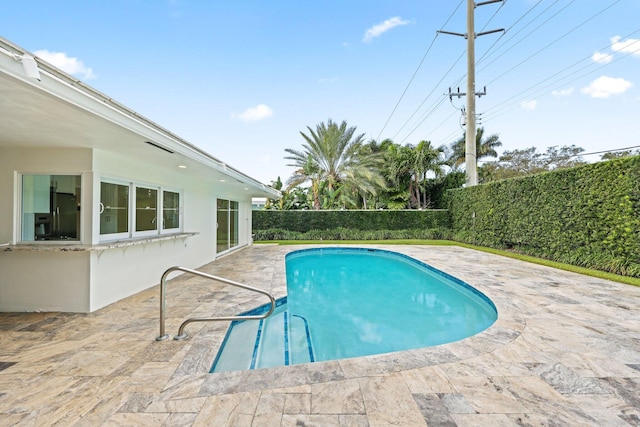 view of swimming pool with a patio