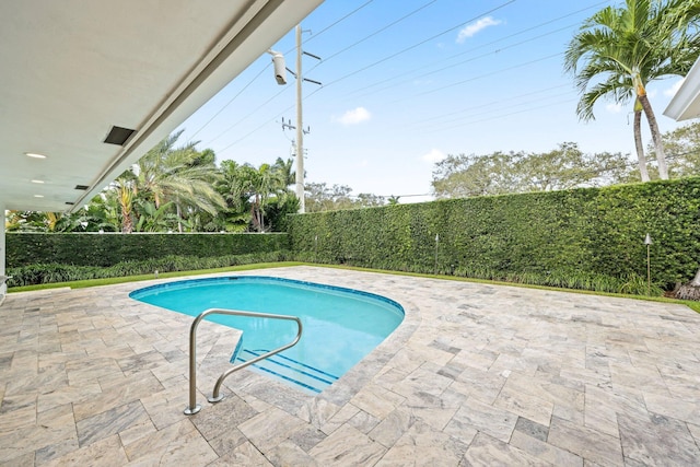 view of pool with a patio area