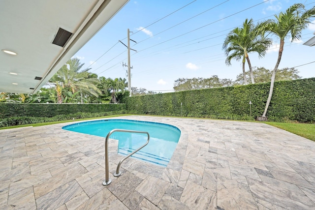 view of swimming pool with a patio