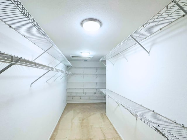 view of walk in closet