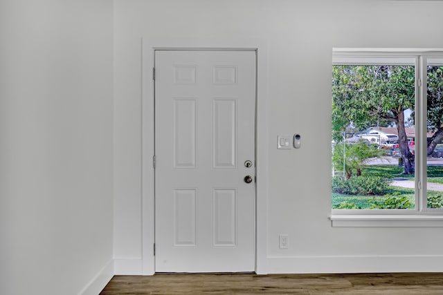 entryway featuring hardwood / wood-style flooring and plenty of natural light