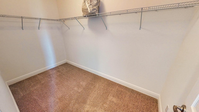 spacious closet with carpet