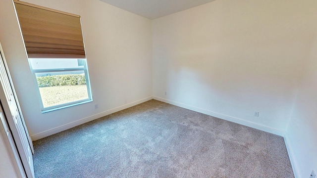 spare room with carpet flooring