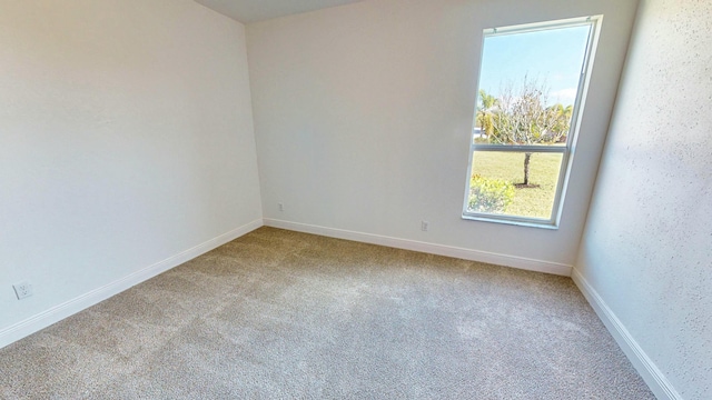 empty room featuring light carpet