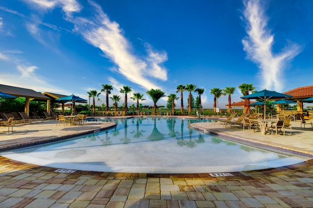 view of swimming pool featuring a patio area