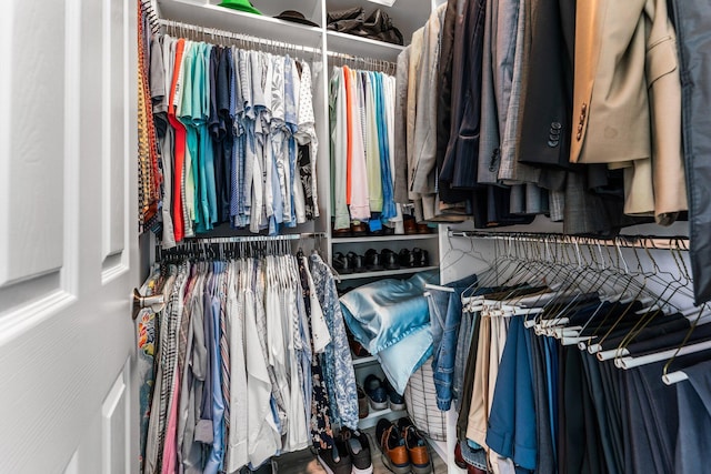 view of walk in closet