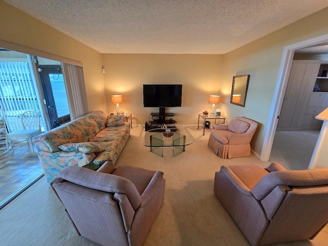 living room featuring a textured ceiling