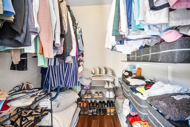 spacious closet featuring wood-type flooring