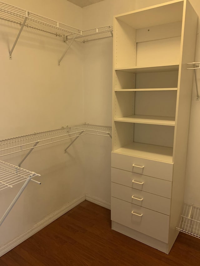 spacious closet featuring dark wood-type flooring