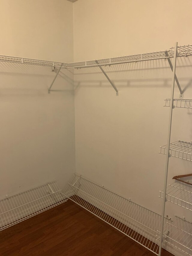 spacious closet featuring wood-type flooring